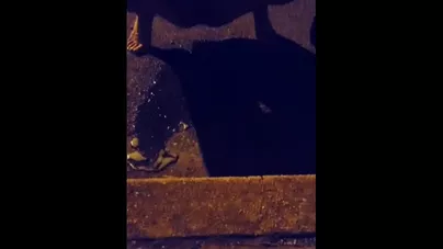 CAUGHT!! Peeing on the side of the road