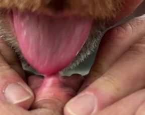 Licking and sucking MILF clit