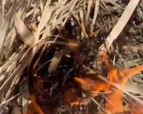 SURVIVAL bushcraft skills: camping lifehacks outdoors forest asmr