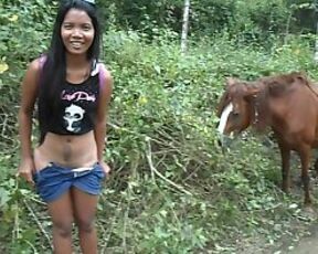 Porn woman horse 